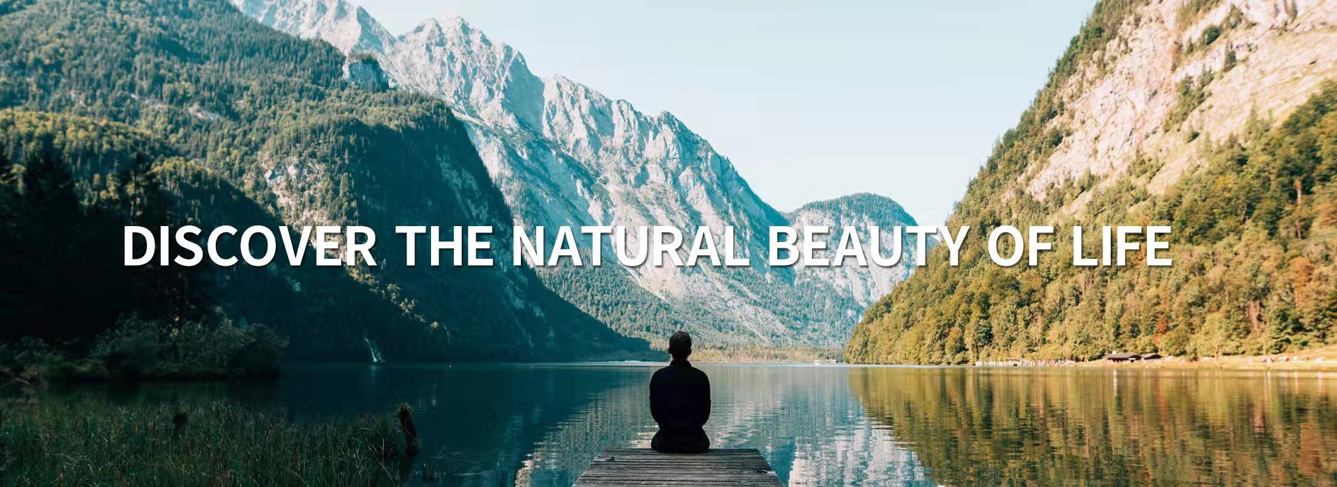 Product-related dynamic Blog information