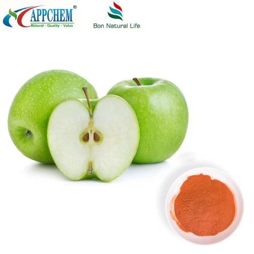 Apple Polyfenols Powder Original Factory