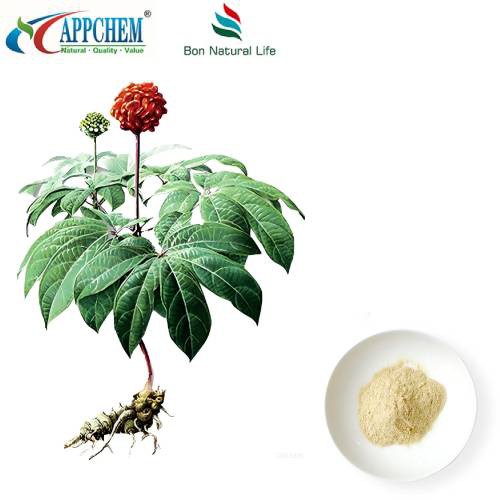 Výťažok z Notoginseng Radix Et Rhizoma
