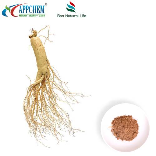 Extrakt z Panax Ginseng v prášku