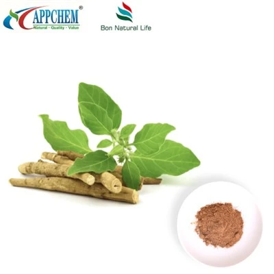 ASHWAGANDHA EXTRACT Prášok (Withanolides) Výroba 30655-48-2
