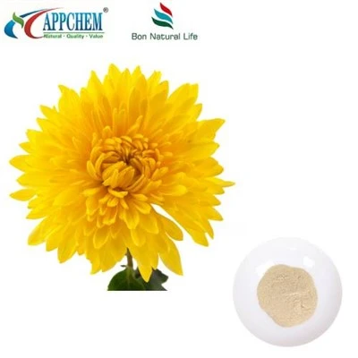 Extrakt z Flos Chrysanthemi